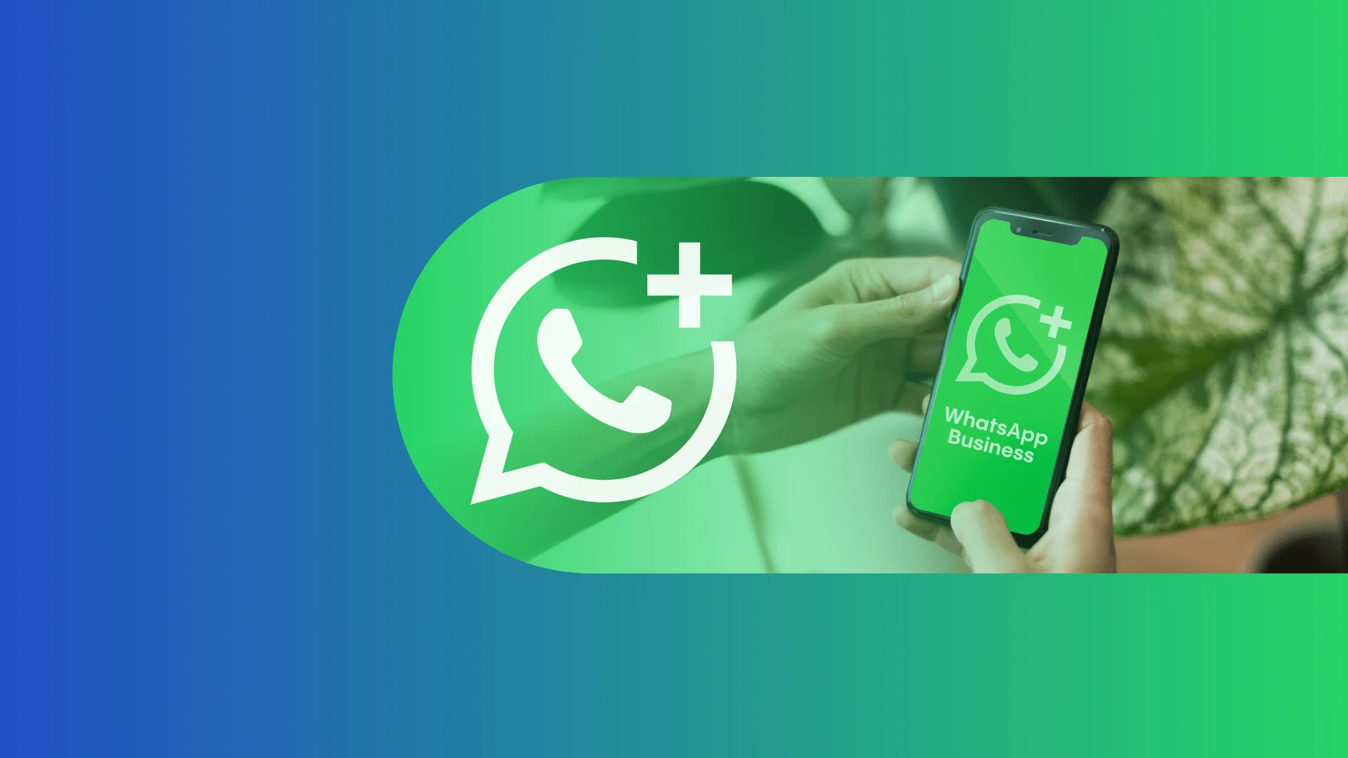 WhatsApp Business Takeovers: 8 Steps to Protect Your Business Account